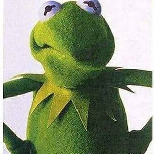 Meet your Posher, Helmuth